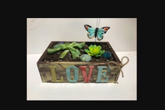 Plant Nite: Customize Your Wooden Box
